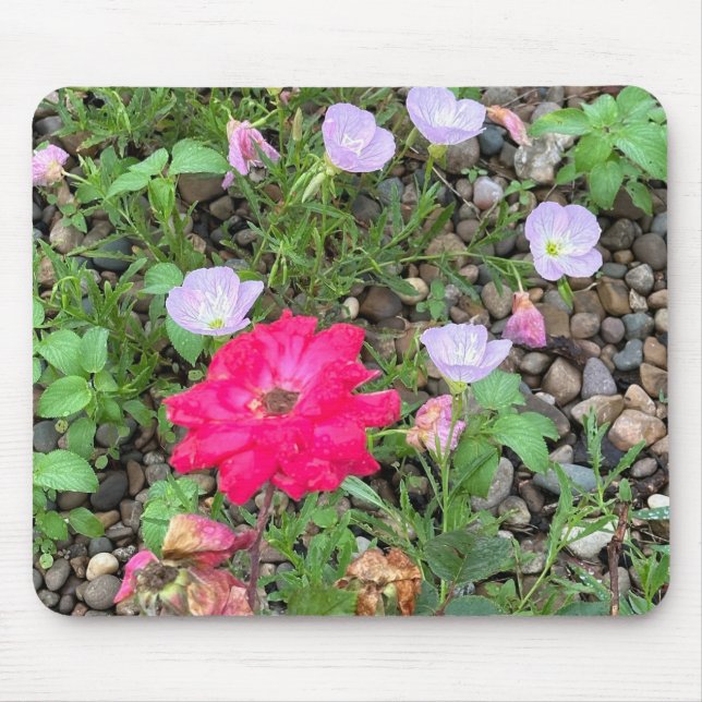 Ro och Primrose Mouse Pad Musmatta (Framsidan)