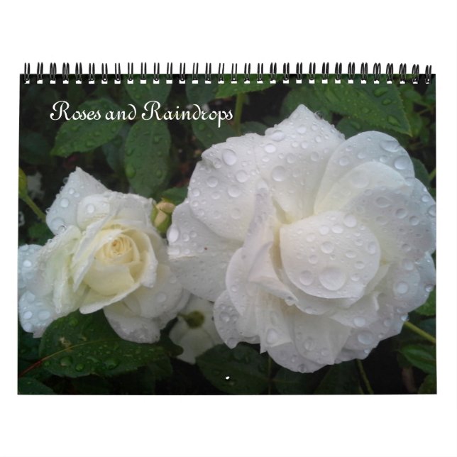 RO OCH RAINDROPS-kalender Kalender (Omslag)