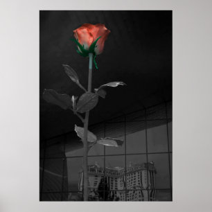 Ro och Reflection, Las Vegas Poster