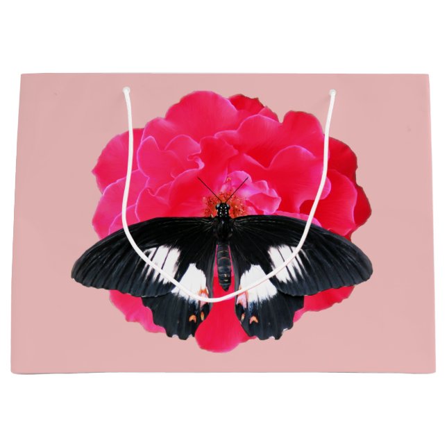 Ro och Sverige (Framsidan)