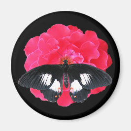 Ro och Sverige Magnet