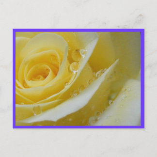 ro och vattendroppar vykort