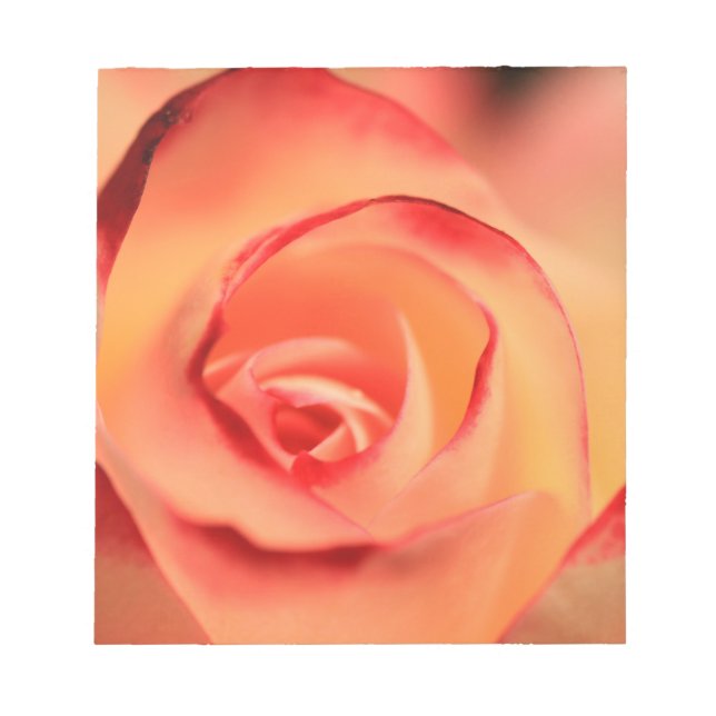ro orange ro blommar-blomma anteckningsblock (Framsida)