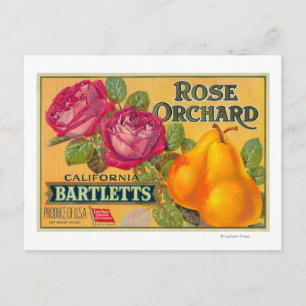 Ro Orchard Pear Låda-etikett Vykort