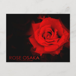 Ro Osaka:vykort Vykort
