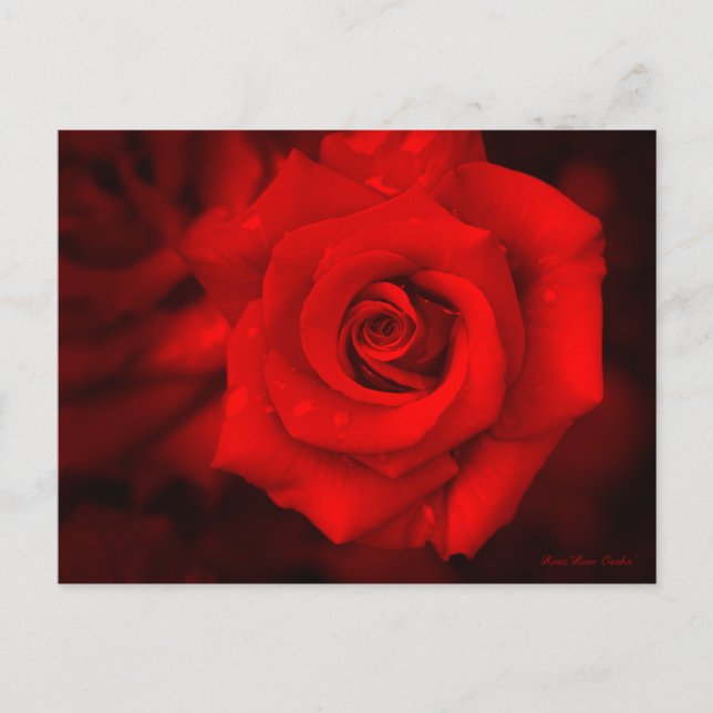 Ro Osaka:vykort Vykort (Framsida)