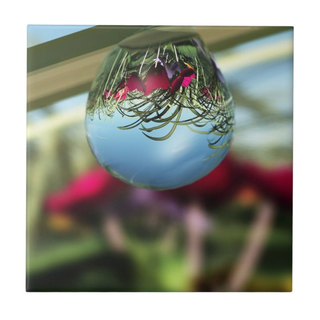 Ro på dekorativ panel för regndroppar kakelplatta (Framsidan)