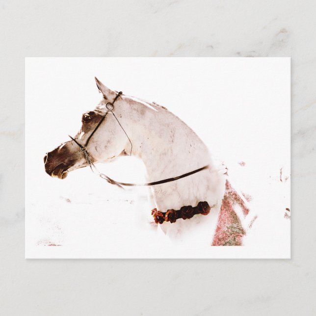 Ro på ett Grått Vykort (Framsida)