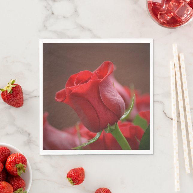 Ro Pappersservett (Insitu)