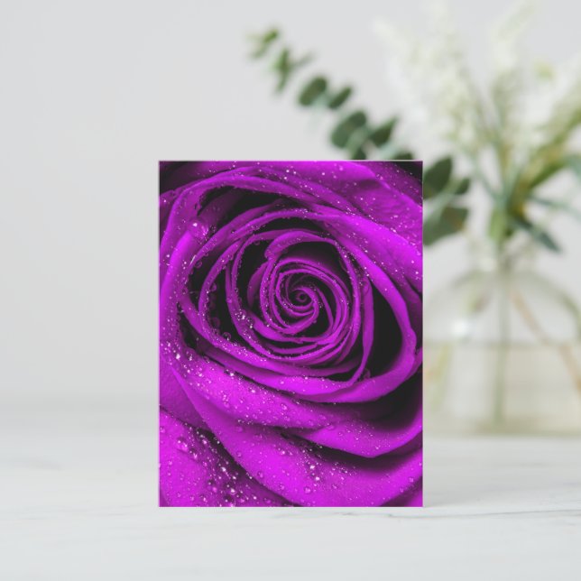 Ro Petals 2 Vykort (Stående Fram)