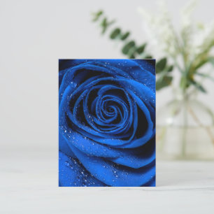 Ro Petals 3 Vykort