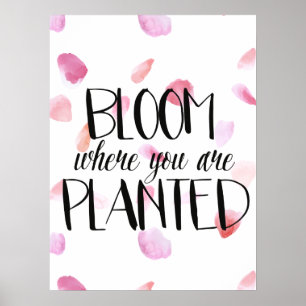 Ro Petals Bloom Poster
