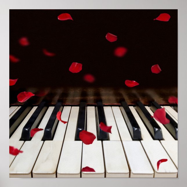 Ro Petals på Piano Nycklar Poster (Framsidan)
