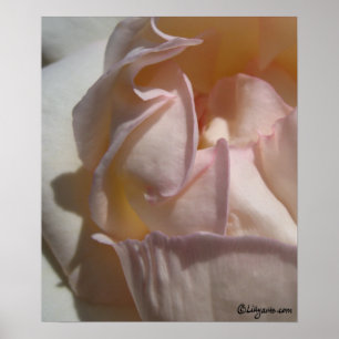 Ro Petals Poster utskrift