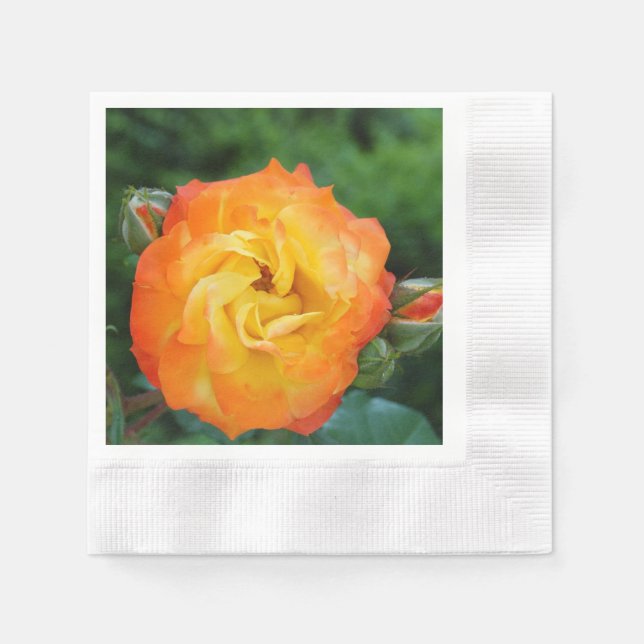 Ro Photo Papper Napkins Pappersservett (Framsidan)