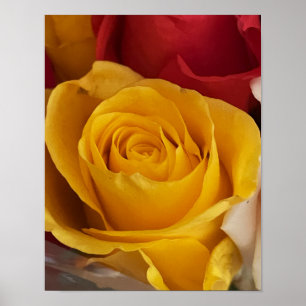 Ro Photo Poster