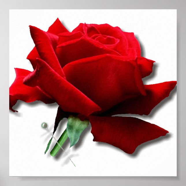 Ro Poster (Framsidan)