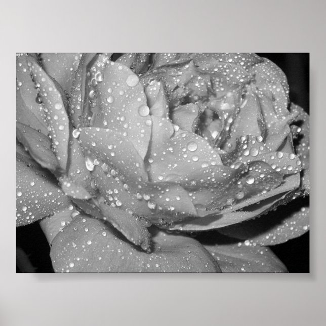 Ro Poster (Framsidan)