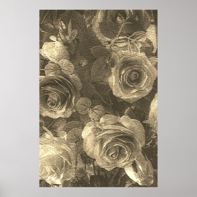 Ro Poster (Framsidan)