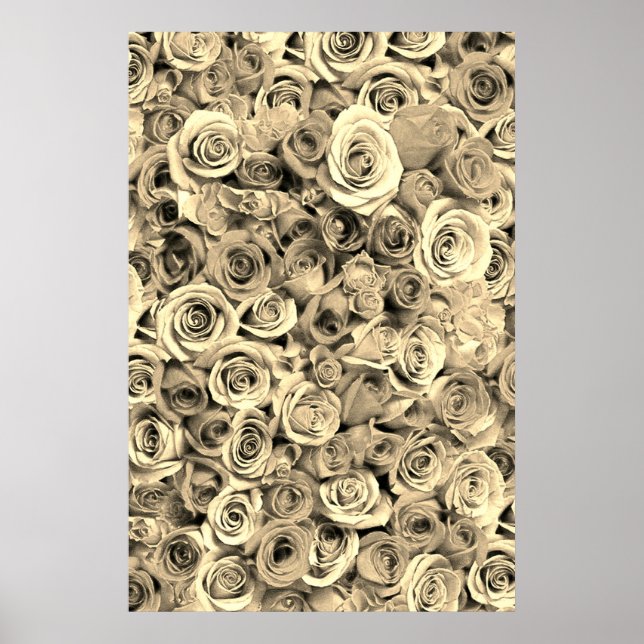 Ro Poster (Framsidan)