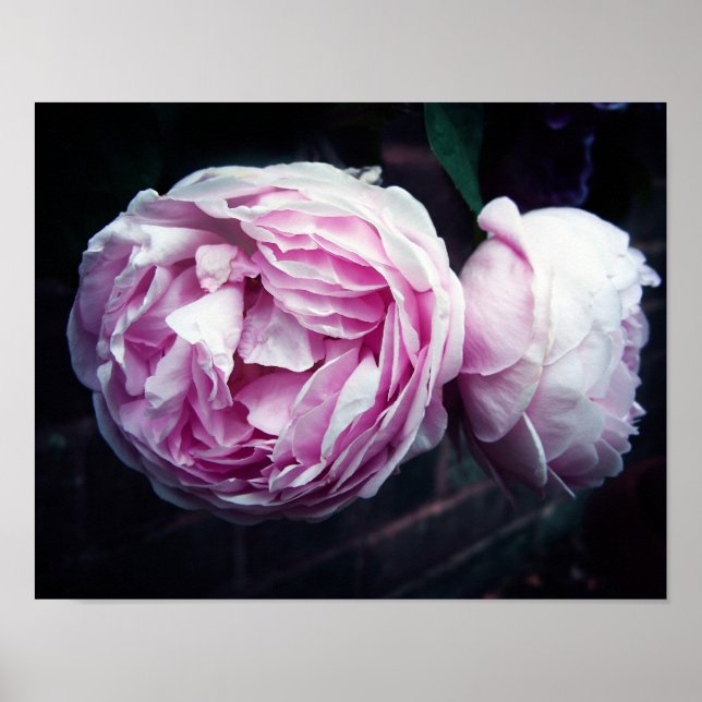 Ro Poster (Framsidan)