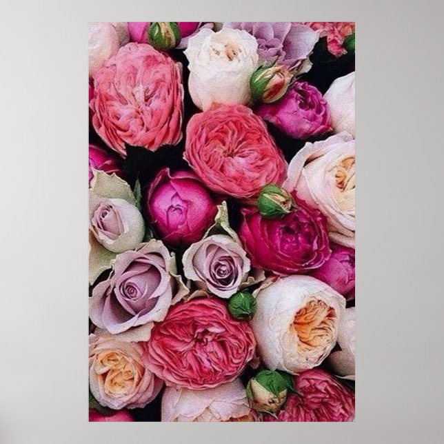 Ro Poster (Framsidan)