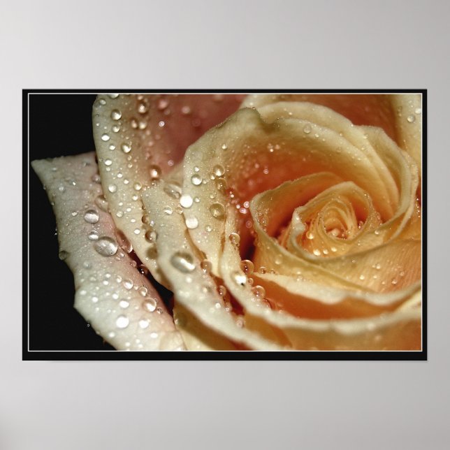 Ro Poster (Framsidan)