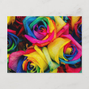 Ro Rainbow Vykort