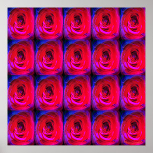 Ro Red Miami, poster