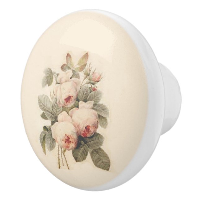 Ro Redoutés vackra Bouquet Knopp (Höger)