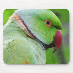 Ro-Ringed parakiter Mousepad Musmatta