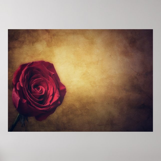 Ro ro-blommans abstrakt romantik poster (Framsidan)