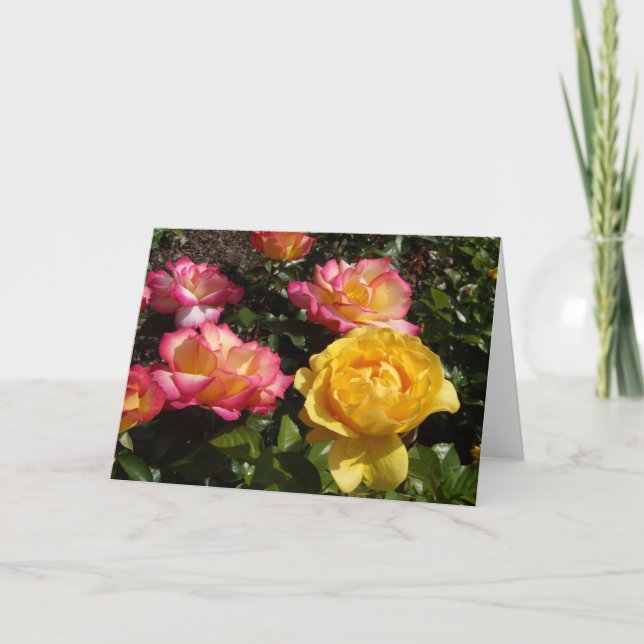 Ro, Ro, Ro! Helgkort (Framsida)