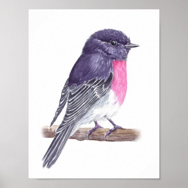 Ro robin poster (Framsidan)