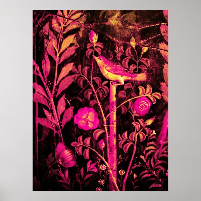 Ro, Rosa Fuchsia Black Gult Poster (Framsidan)