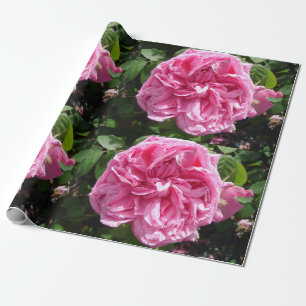 Ro Rosor Rosa Vintage Kålblommor blommigt Presentpapper