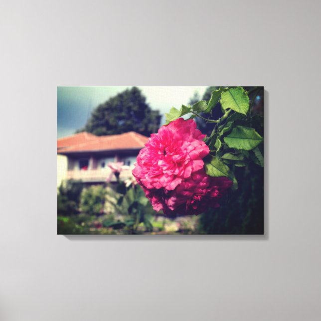 Ro, Rustic Photo, sommarstuckt Kanvastryck (Framsida)