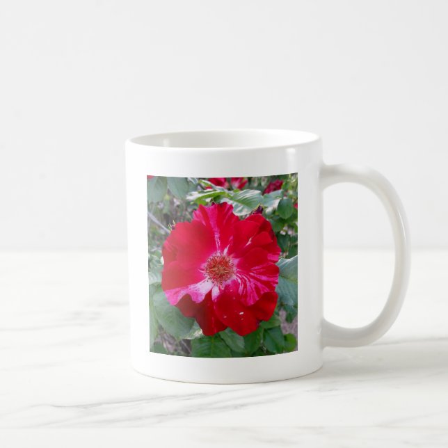 Ro ~ Single Bloom Kaffemugg (Höger)