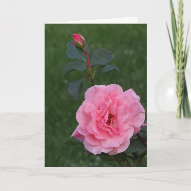Ro, Tack för gift och besök Kort (Framsida)