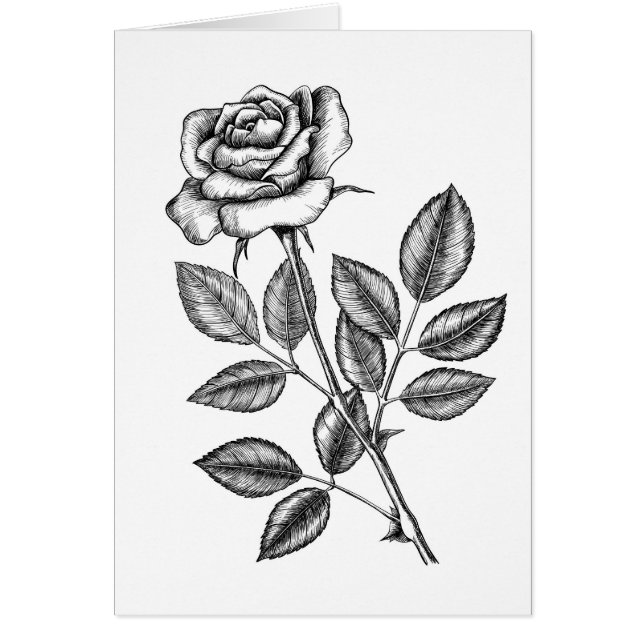 RO TECKNING 2 HÄLSNINGSKORT (Framsidan)