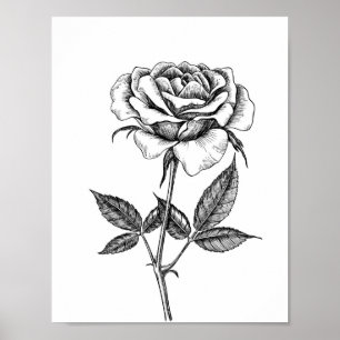 Ro teckning poster