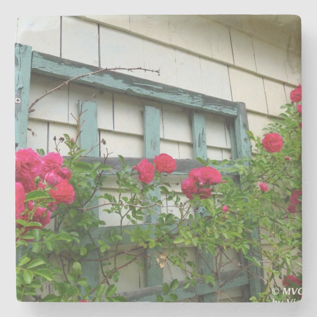 Ro Trellis - Martha's Vineyard Stenunderlägg (Framsidan)