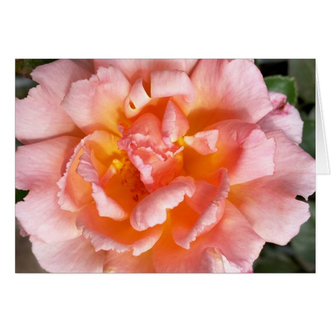 ro under hösten hälsningskort (Framsidan Horizontal)