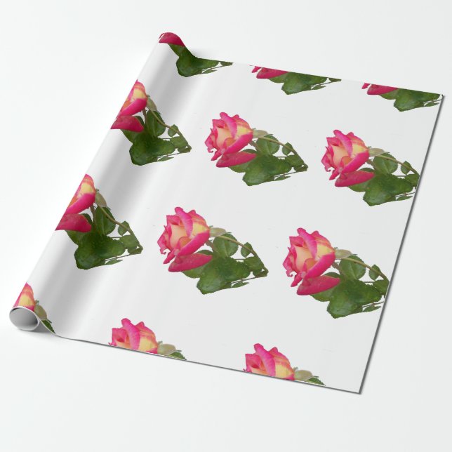 Ro vid papper förpackning presentpapper (Utrullad)