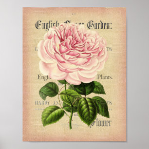 Ro-vintage-feminin-blommigt poster