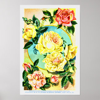 Ro Vintage Flower Seed Company Poster