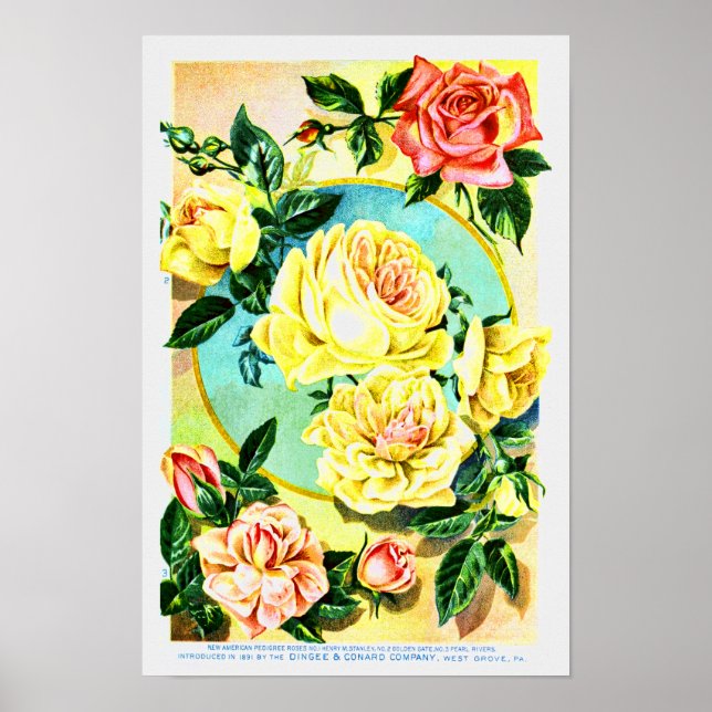 Ro Vintage Flower Seed Company Poster (Framsidan)