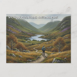Road in Wicklow Mountains National Park Ireland Vykort