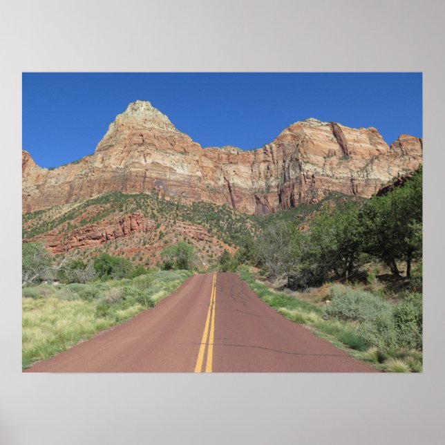 Road of Zion National Park USA Poster (Framsidan)