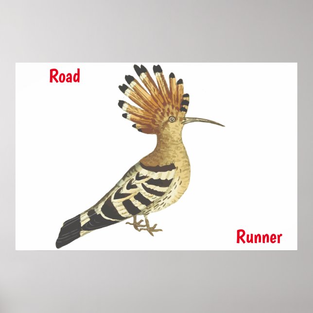 Road Runner-affisch Poster (Framsidan)